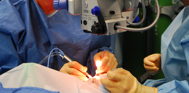 Multifocal-and-Foldable-Lens-Implants-image